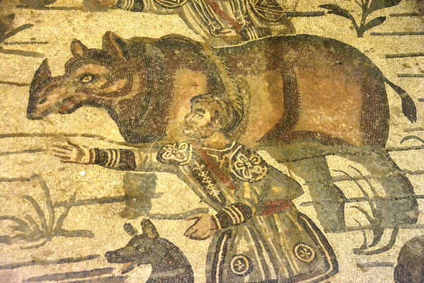 로마의 모자이크에서는 코리도 르에서 코뿔소 마리를 장면이 묘사되어 있습니다 유네스코에서는 — 스톡 사진