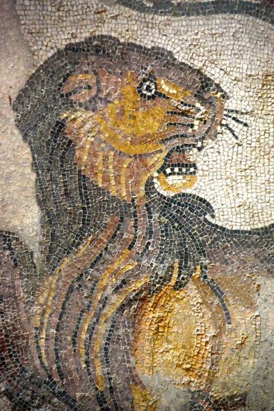 古代罗马马赛克的狮子从非洲在伟大的亨特走廊 来自西西里Villa Romana Del Casale的联合国教科文组织名单 — 图库照片