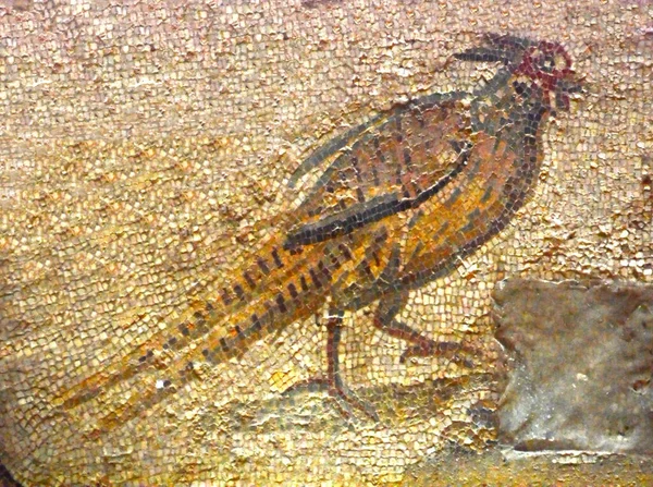 古代罗马马赛克的大狩猎走廊中的一只野鸡 罗马时代流行的猎鸟 来自西西里Villa Romana Del Casale的联合国教科文组织名单 — 图库照片