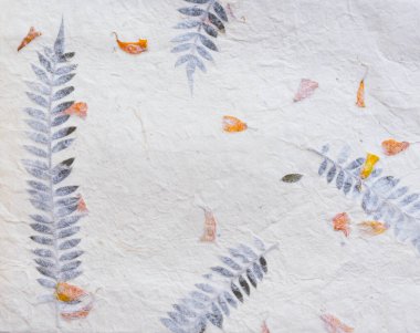 Beyaz arka plan, doku, tekstil ve eski olan kurutulmuş bitkilerle el yapımı Nepal kağıdı.