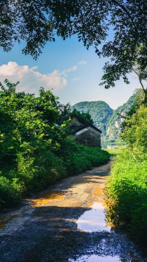 Parkta adımları olan güzel bir yol, bir günlük yürüyüş, yürüyüş ya da patika, sağlıklı aktif yaşam tarzı, temiz hava ve temiz çevre.