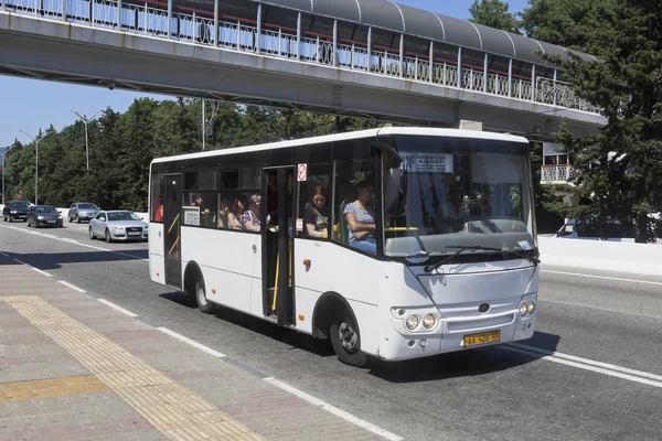 Adler Sochi Região Krasnodar Rússia Julho 2016 City Bus Lenin — Fotografia de Stock