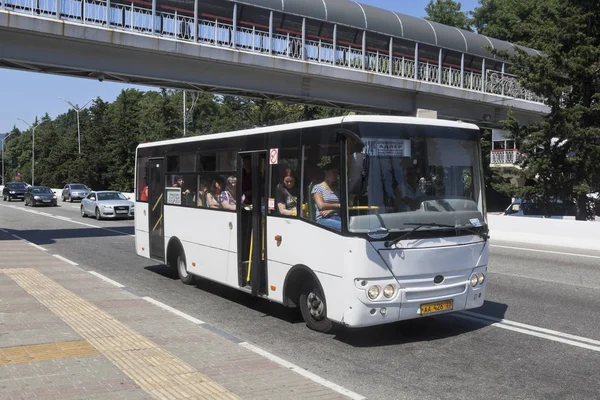 Adler Soçi Krasnodar Bölgesi Rusya Federasyonu Temmuz 2016 Şehir Otobüs Telifsiz Stok Imajlar