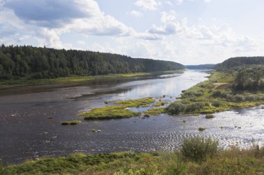 Nehir Sukhona ve Uftyuga Köyü İzidor huş Nyuksensky District, Vologda bölgesi yakınlarında izdiham