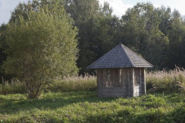 Milli bir bahar yol Sukhonsky ülke tarafında Gorodischna, Nyuksensky District, Vologda Region, Rusya Federasyonu ile yol boyunca