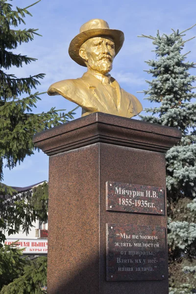 Busto a Ivan Vladimirovich Michurin nella città di Michurinsk, regione di Tambov — Foto Stock