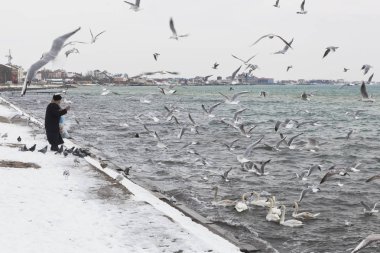 Evpatoria, Crimea - 28 Şubat 2018: Yaşlı kadın kışlama kuğular üzerinde Tereshkova Evpatoria şehir içinde iskele yayınları