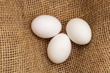 Tavuk yumurtaları çuval bezinin arka planında yatar. Yukarıdan görüntüle.