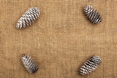 Firavun külahları çuval bezinin arkasında yatar..