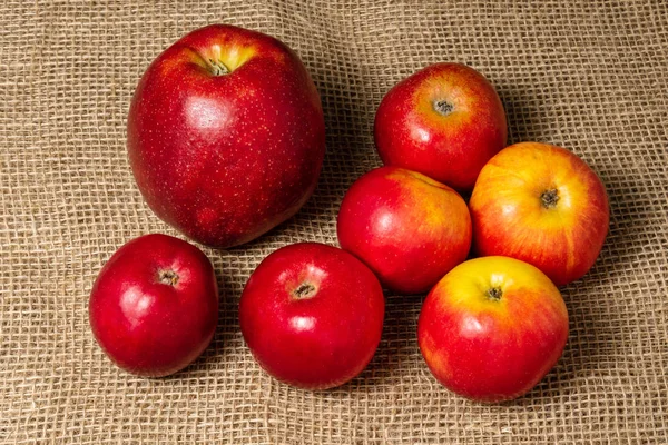 Manzanas Rojas Yacen Sobre Una Mesa Cubierta Arpillera — Foto de Stock