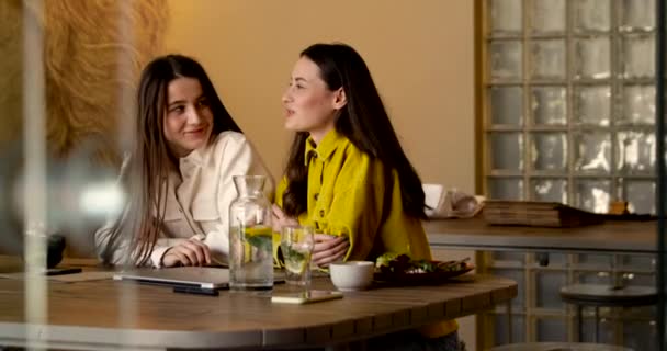 Charmante Brune Dames Tenue Décontractée Passer Temps Libre Restaurant Confortable — Video