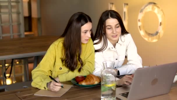 Meninas Atraentes Com Cabelos Castanhos Reunindo Café Moderno Para Ouvir — Vídeo de Stock
