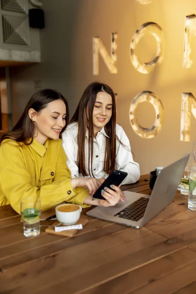 Şık giyinmiş kendine güvenen genç hanımlar restoranda oturuyor ve online kurs sırasında dizüstü bilgisayardan notlar alıyorlar. Kahverengi saçlı bayan öğrenciler kendilerini eğitmek için zaman harcıyorlar..