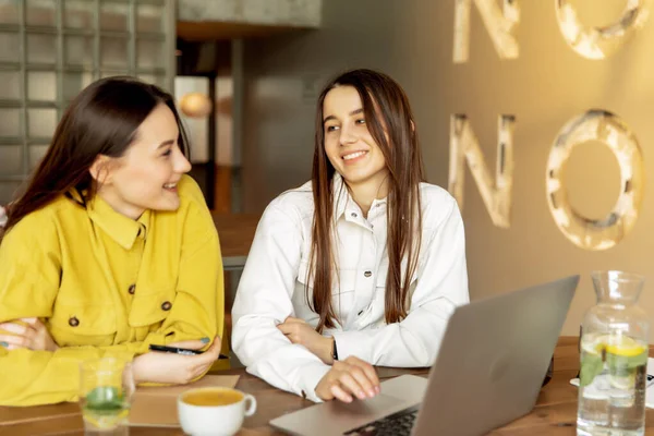 Mooie Vrouwen Met Lang Bruin Haar Trendy Kleding Studeren Gezellig Rechtenvrije Stockafbeeldingen