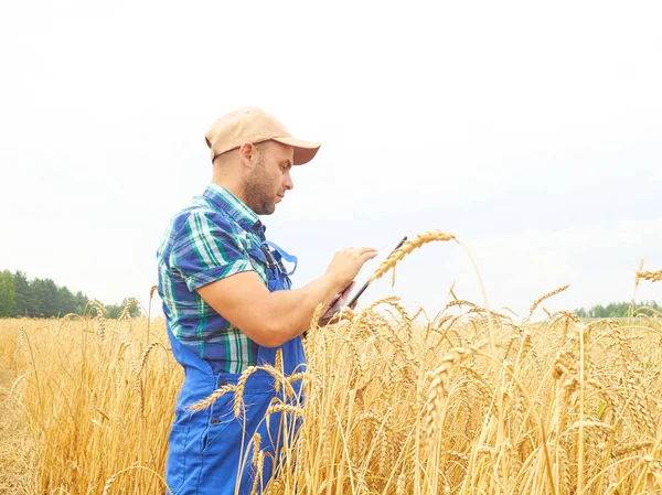 Farmer in a plaid shirt controlled his field and working at tabl