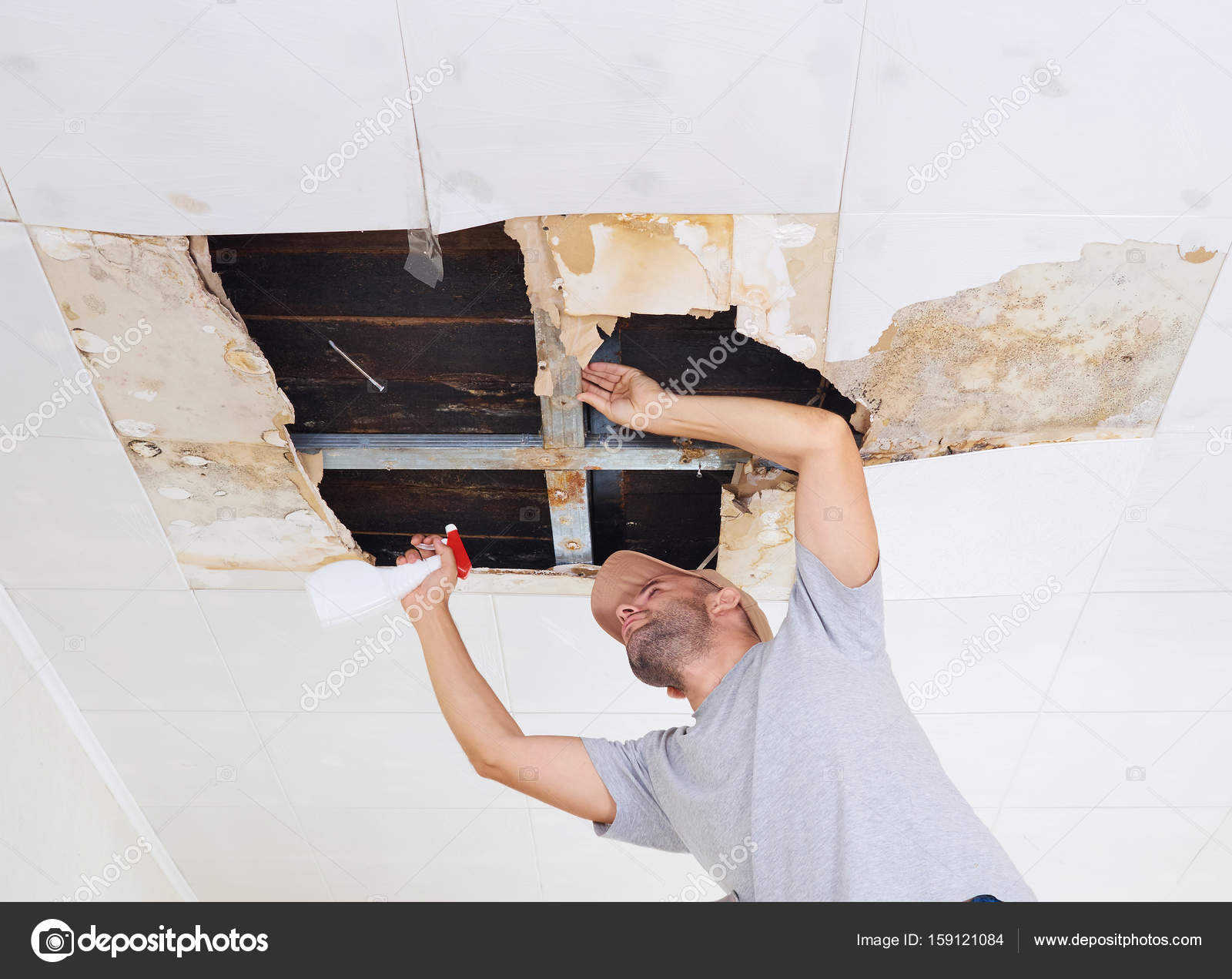 Man Cleaning Mold On Ceiling Ceiling Panels Damaged Huge