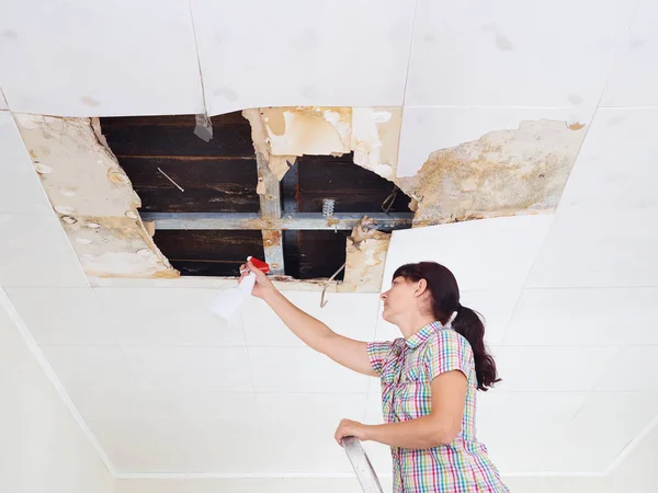 Young Woman cleaning mold on ceiling.Ceiling panels damaged huge