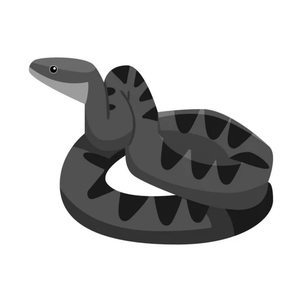 Vector design of python and serpent sign. Graphic of python and crawling stock vector illustration. — Stock Vector