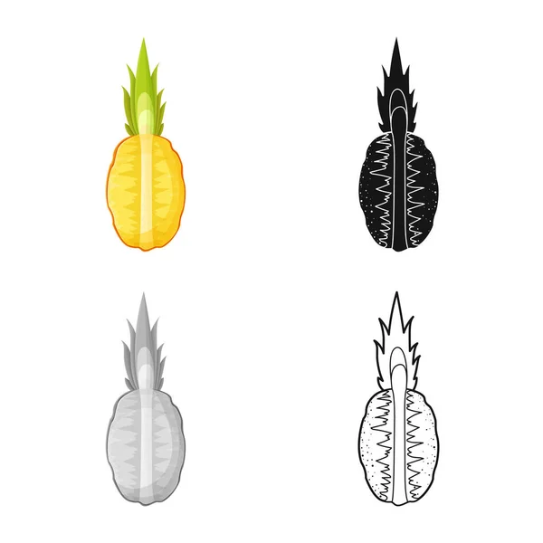 Objeto aislado de ananas y símbolo en rodajas. Elemento web de ananas e ícono de vector vitamínico para stock . — Vector de stock