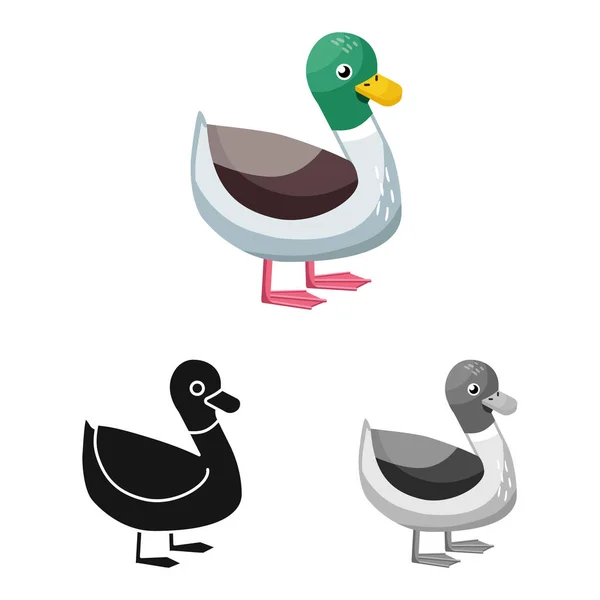 Diseño vectorial de pato y símbolo de pájaro. Colección de ilustración de vector de stock de pato y dragón . — Vector de stock