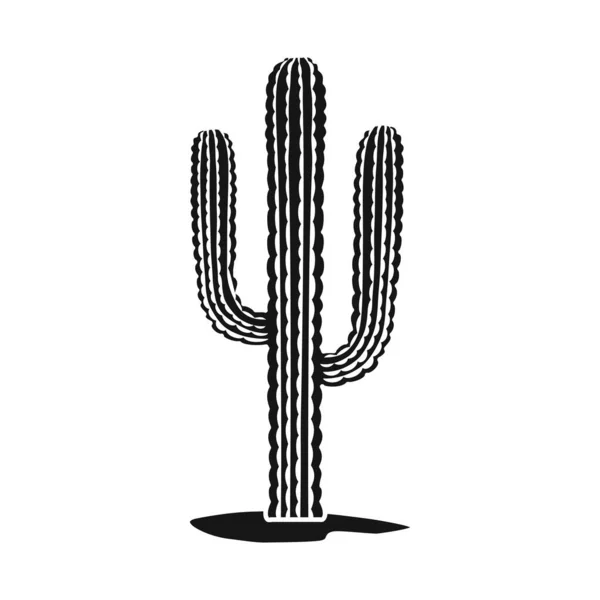 Conception vectorielle de cactus et icône de plante d'intérieur. Élément Web de l'illustration vectorielle de cactus et de bouillon succulent . — Image vectorielle