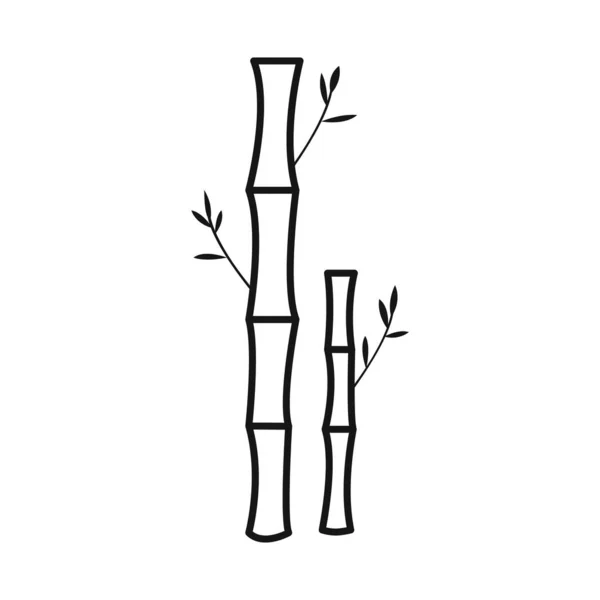 Wektorowa ilustracja bambusa i ikony drzewa. Zestaw bambusa i zielony wektor ilustracji. — Wektor stockowy