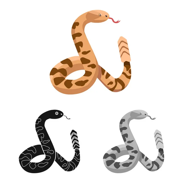 Ilustração vetorial de serpente e signo de pitão. Gráfico de serpente e rastejando ilustração de vetor de estoque. —  Vetores de Stock