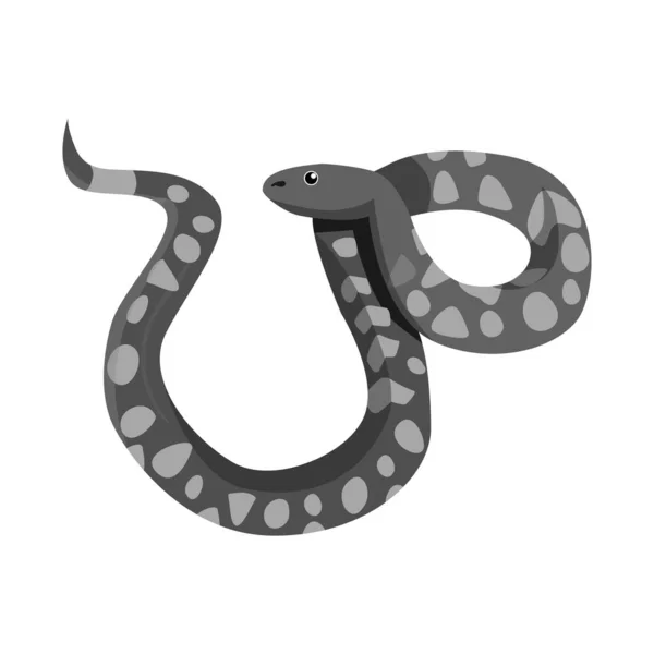 Projeto vetorial de serpente e víbora símbolo. Gráfico de serpente e cascavel símbolo de estoque para web . — Vetor de Stock