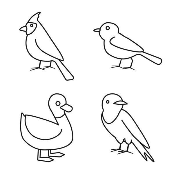 Isolerat föremål av djur och vild logotyp. Uppsättning vektorikon för djur och fjäderdräkt för bestånd. — Stock vektor