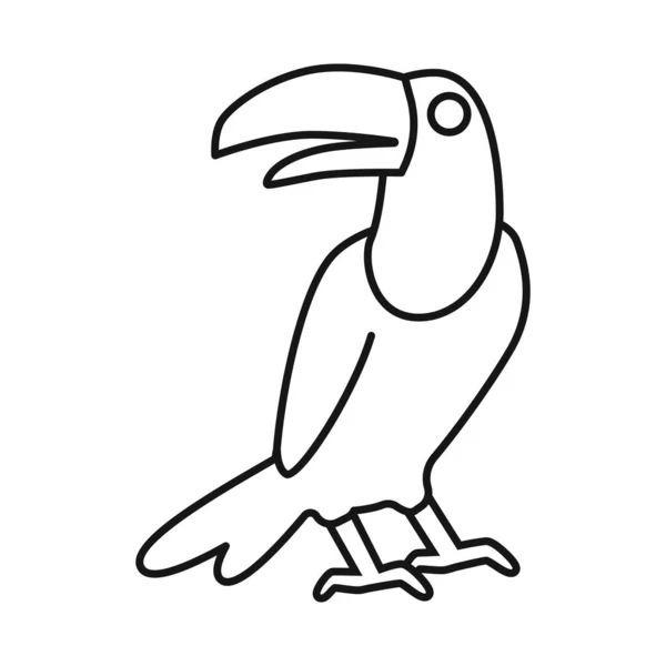 Vector illustratie van toekan en vogel teken. Set van toucan en jungle voorraad vector illustratie. — Stockvector