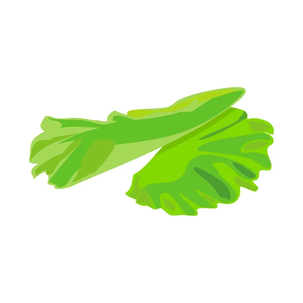叶柄和叶柄的矢量设计. Web element of lettuce and green vector icon for stock. — 图库矢量图片