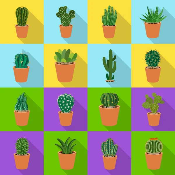 Progettazione vettoriale del cactus e dell'icona del vaso. Collezione di cactus e cactus stock symbol per il web . — Vettoriale Stock