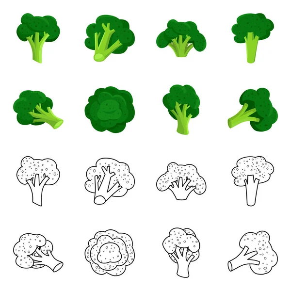 食生活とダイエットシンボルのベクトルイラスト。ウェブ用の食べ物とベジタリアンのストックシンボルのセット. — ストックベクタ