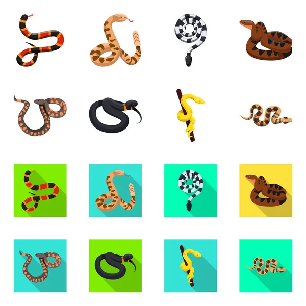Objet isolé de serpent et signe effrayant. Collection d'icônes vectorielles de serpents et d'animaux sauvages pour le stock . — Image vectorielle