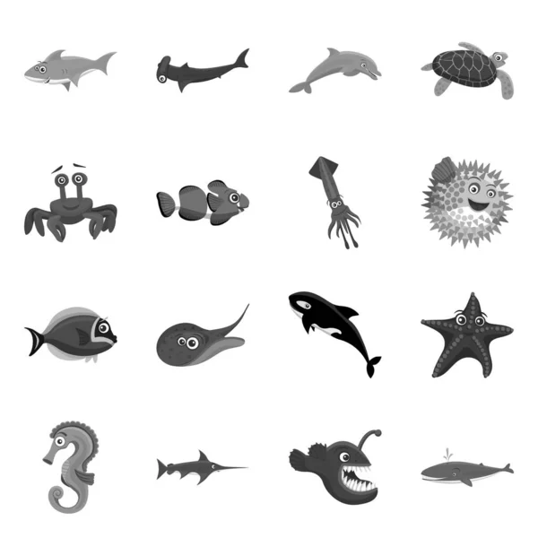 Objeto isolado do símbolo do mar e do animal. Coleção de ícone de vetor marítimo e marítimo para estoque . —  Vetores de Stock