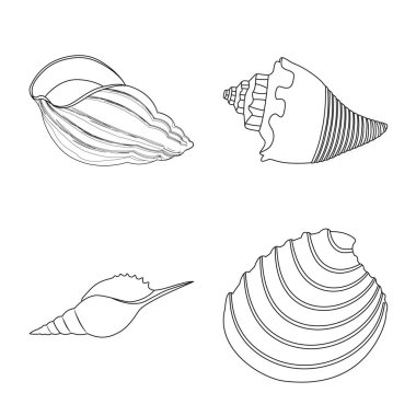 Egzotik ve deniz ürünleri işareti vektör tasarımı. Egzotik ve sucul stok vektör illüstrasyon koleksiyonu.