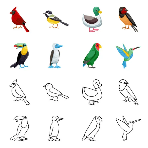 Vektordesign von tierischen und wilden Symbolen. Animal und Natural Stock Vector Illustration. — Stockvektor