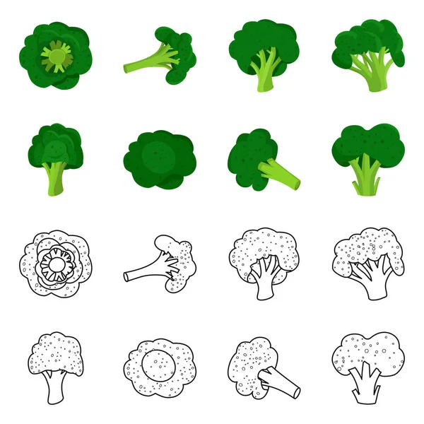 Objeto isolado de comer e símbolo de dieta. Conjunto de comer e vegetariano estoque vetor ilustração . — Vetor de Stock