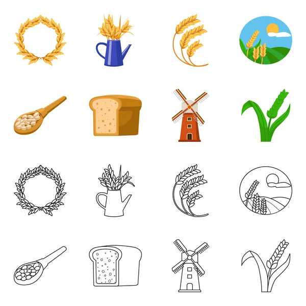 Disegno vettoriale del grano e segno del raccolto. Set di icone vettoriali grano e agricoltura per stock . — Vettoriale Stock