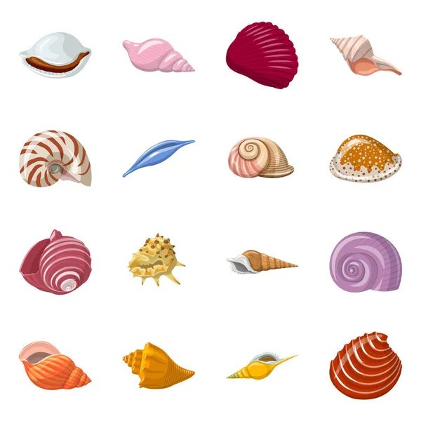 Projeto vetorial de concha e símbolo de molusco. Conjunto de conchas marinhas e frutos do mar ilustração vetorial . — Vetor de Stock