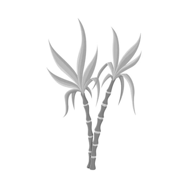 Diseño vectorial del logotipo vegetal y azucarero. Gráfico de vegetal y icono de vectores de caña para stock . — Vector de stock