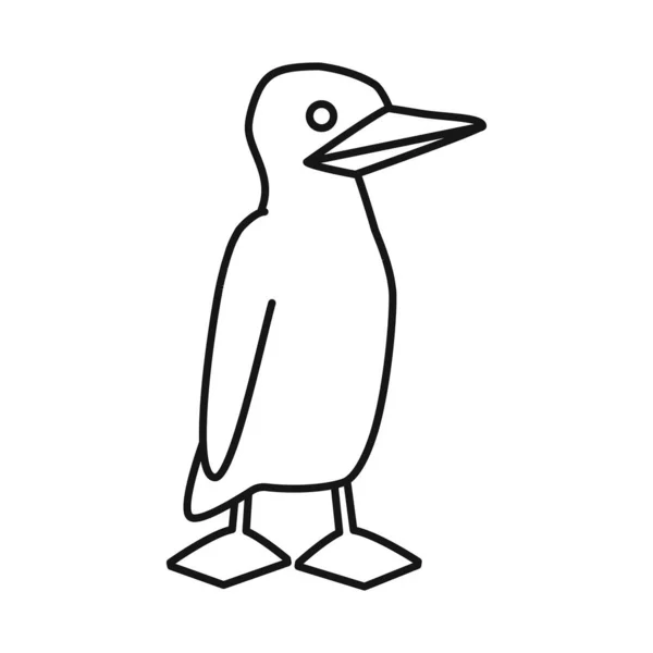 Vector ontwerp van vogel en booby logo. Verzameling van vogel en blauwe voorraad symbool voor web. — Stockvector