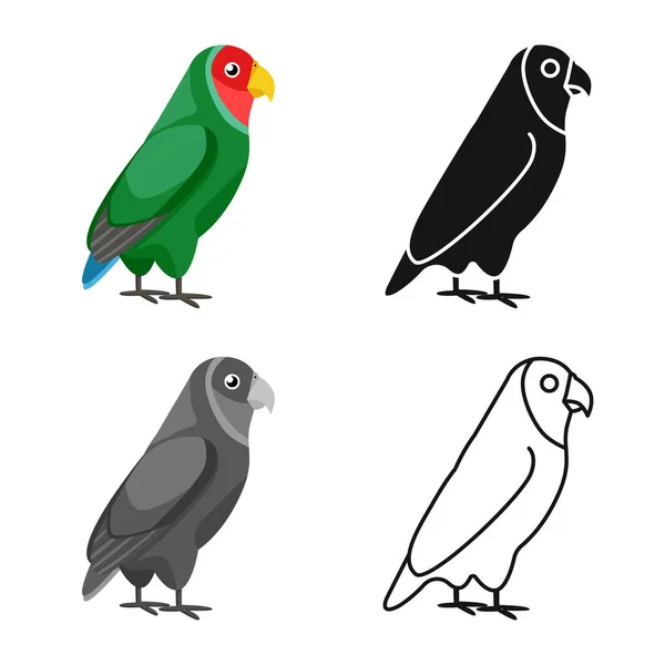 Vektordesign von Papagei und grünem Symbol. Sammlung von Papageien und brasilianischer Aktienvektorillustration. — Stockvektor