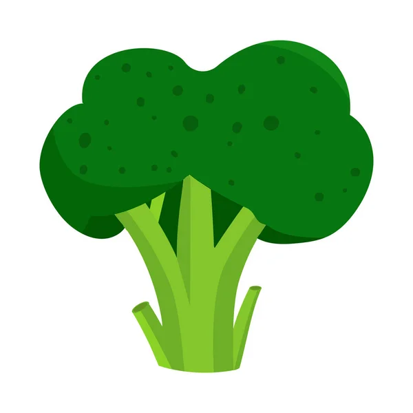 Vektorillustration von Brokkoli und Gemüse-Symbol. Sammlung von Brokkoli und Lebensmittel-Vektorsymbol für Aktien. — Stockvektor