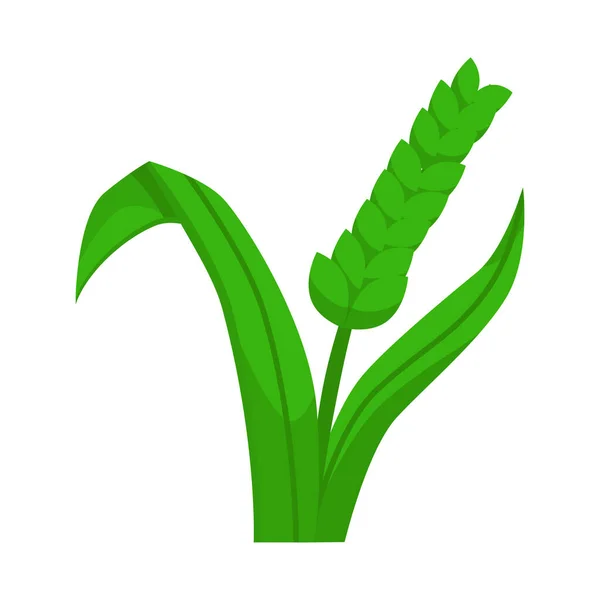 Ізольований об'єкт пшениці та зеленої ікони. Набір символів пшениці та сільського господарства для Інтернету . — стоковий вектор