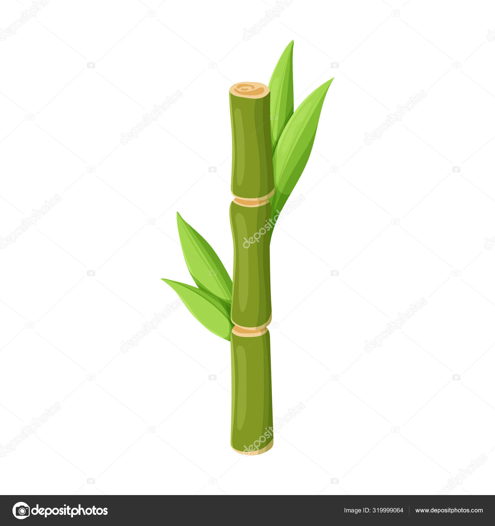 Stem of sugar cane vector vector icon isolated on white background stem of sugar cane . Stock Vector Image by ©magicleaf #319999064 Stem of sugar cane vector vector icon isolated on white background stem of sugar cane . Stock Vector Image by ©magicleaf #319999064