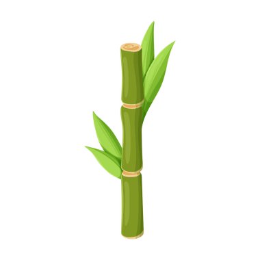 Stem of sugar cane vector icon.Cartoon vector icon isolated on white background stem of sugar cane . clipart