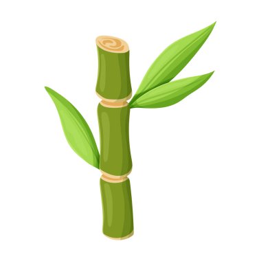 Stem of sugar cane vector icon.Cartoon vector icon isolated on white background stem of sugar cane . clipart