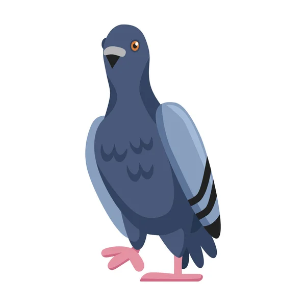 ピジョンベクトルのアイコン白い背景鳩に隔離された漫画のベクトルのアイコン. — ストックベクタ