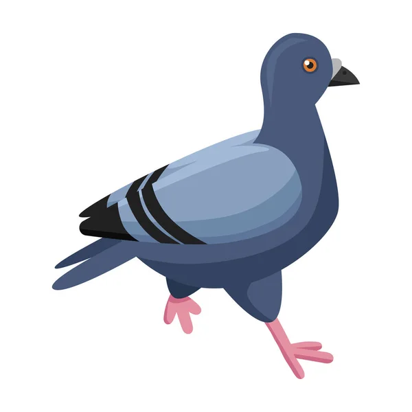 ピジョンベクトルのアイコン白い背景鳩に隔離された漫画のベクトルのアイコン. — ストックベクタ